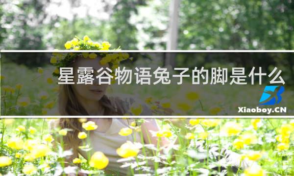 星露谷物语兔子的脚是什么