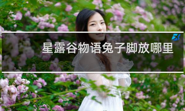 星露谷物语兔子脚放哪里