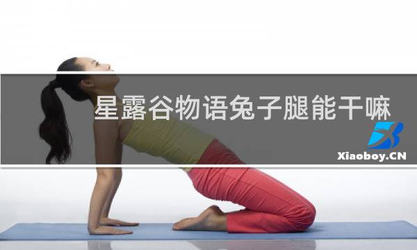 星露谷物语兔子腿能干嘛