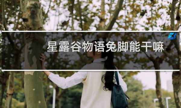 星露谷物语兔脚能干嘛