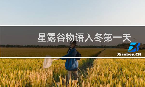 星露谷物语入冬第一天