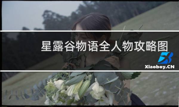 星露谷物语全人物攻略图