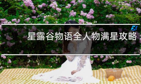 星露谷物语全人物满星攻略