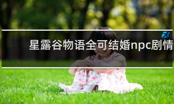 星露谷物语全可结婚npc剧情