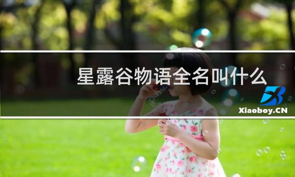 星露谷物语全名叫什么