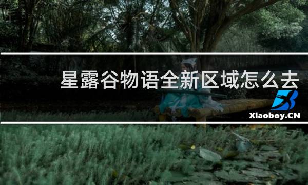 星露谷物语全新区域怎么去