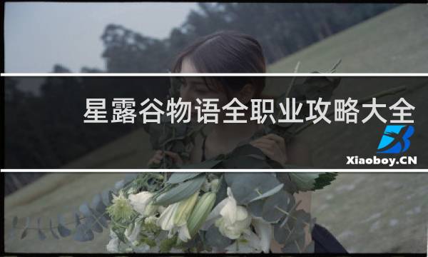 星露谷物语全职业攻略大全