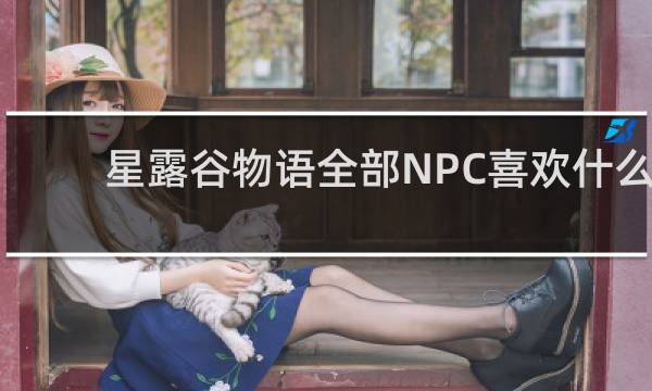 星露谷物语全部NPC喜欢什么