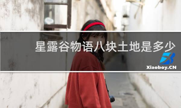 星露谷物语八块土地是多少