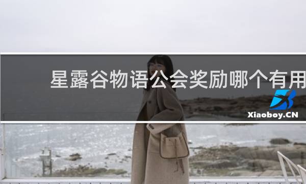 星露谷物语公会奖励哪个有用