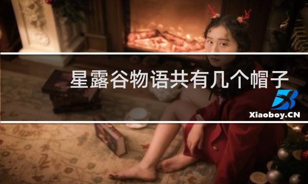 星露谷物语共有几个帽子