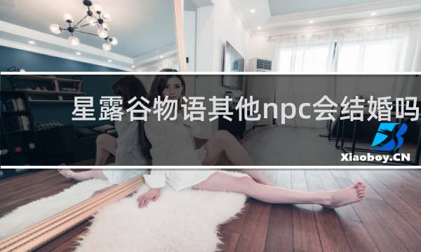 星露谷物语其他npc会结婚吗