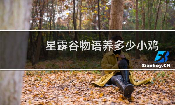 星露谷物语养多少小鸡