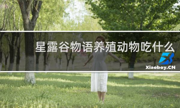 星露谷物语养殖动物吃什么