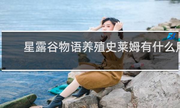 星露谷物语养殖史莱姆有什么用