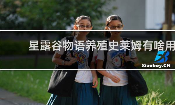 星露谷物语养殖史莱姆有啥用