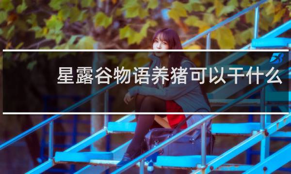 星露谷物语养猪可以干什么