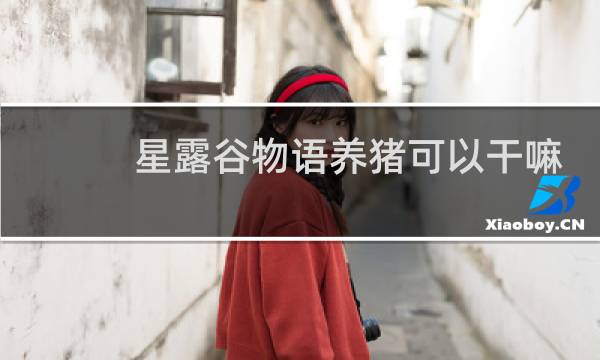 星露谷物语养猪可以干嘛