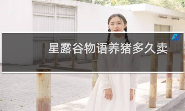 星露谷物语养猪多久卖