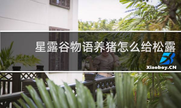 星露谷物语养猪怎么给松露