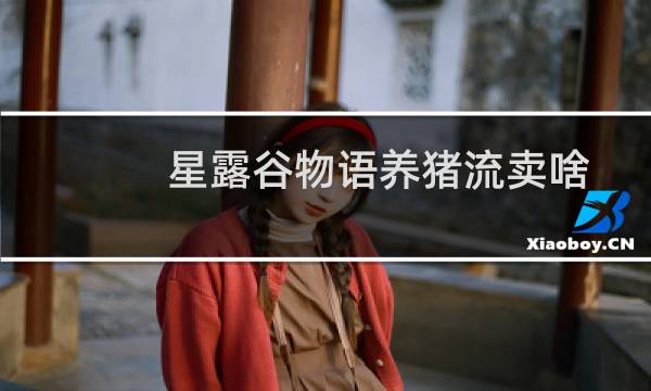 星露谷物语养猪流卖啥