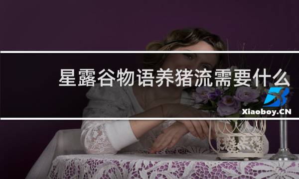 星露谷物语养猪流需要什么