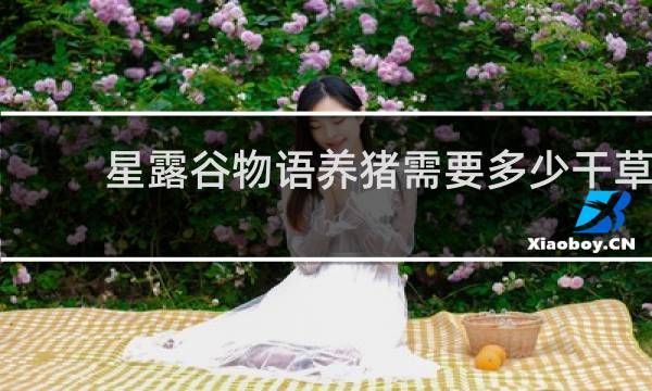 星露谷物语养猪需要多少干草