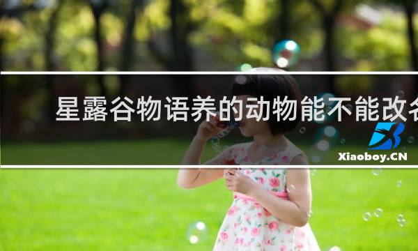 星露谷物语养的动物能不能改名