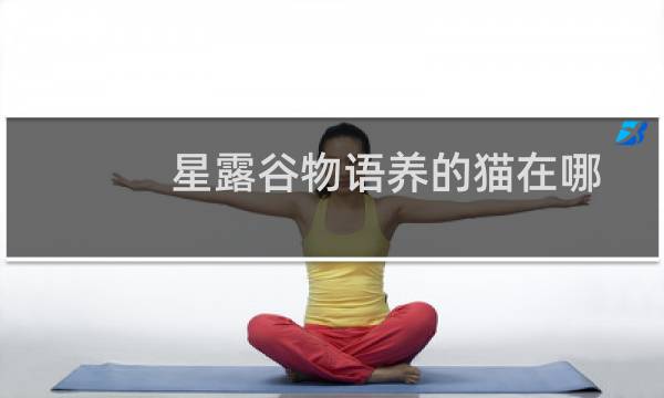 星露谷物语养的猫在哪