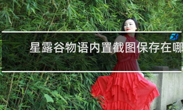 星露谷物语内置截图保存在哪