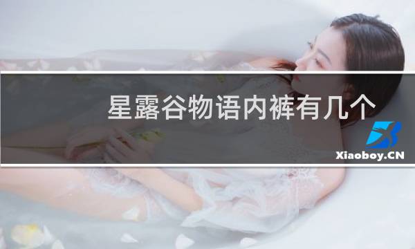 星露谷物语内裤有几个