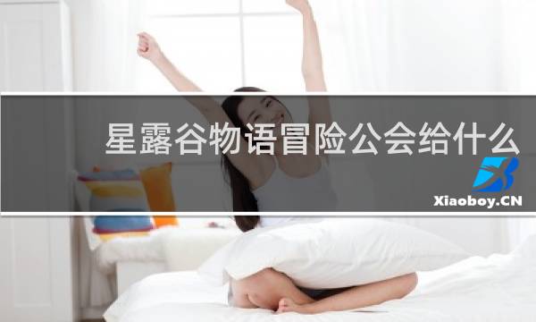 星露谷物语冒险公会给什么