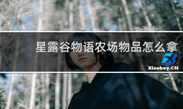 星露谷物语农场物品怎么拿