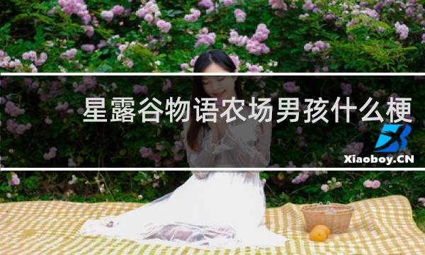 星露谷物语农场男孩什么梗