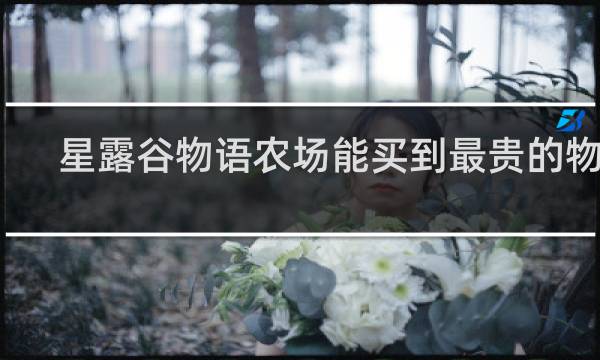 星露谷物语农场能买到最贵的物品
