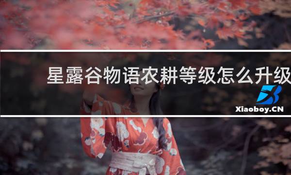 星露谷物语农耕等级怎么升级