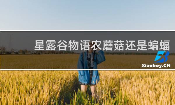 星露谷物语农蘑菇还是蝙蝠