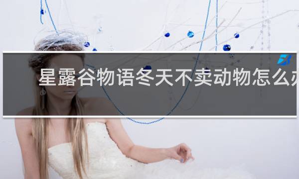 星露谷物语冬天不卖动物怎么办