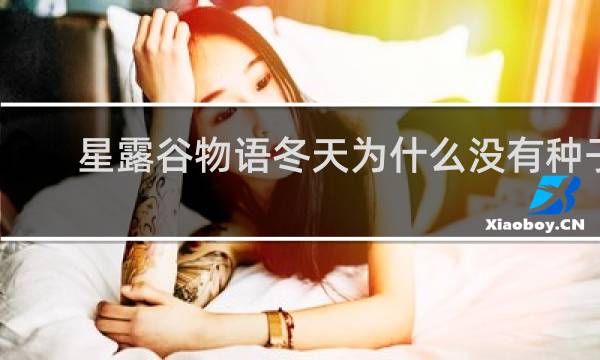星露谷物语冬天为什么没有种子