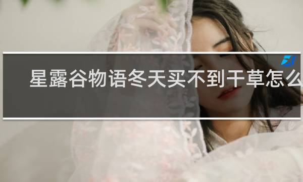 星露谷物语冬天买不到干草怎么办