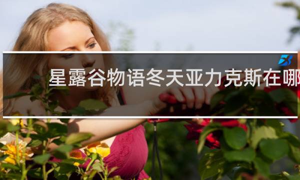 星露谷物语冬天亚力克斯在哪