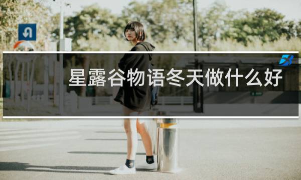 星露谷物语冬天做什么好
