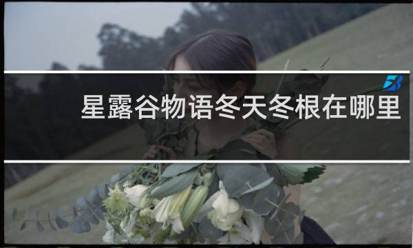 星露谷物语冬天冬根在哪里