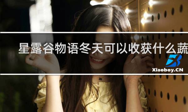 星露谷物语冬天可以收获什么蔬菜