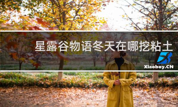 星露谷物语冬天在哪挖粘土