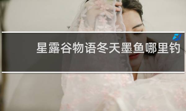 星露谷物语冬天墨鱼哪里钓