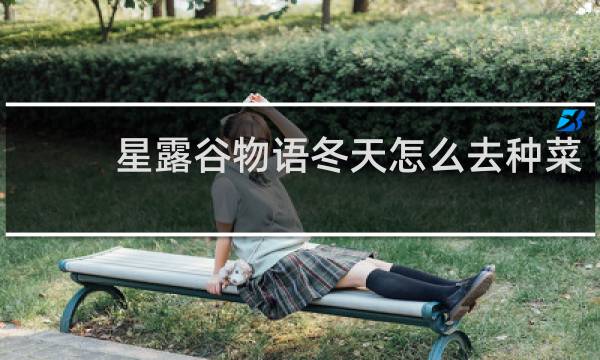 星露谷物语冬天怎么去种菜