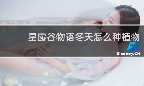 星露谷物语冬天怎么种植物