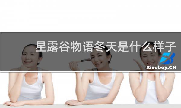 星露谷物语冬天是什么样子