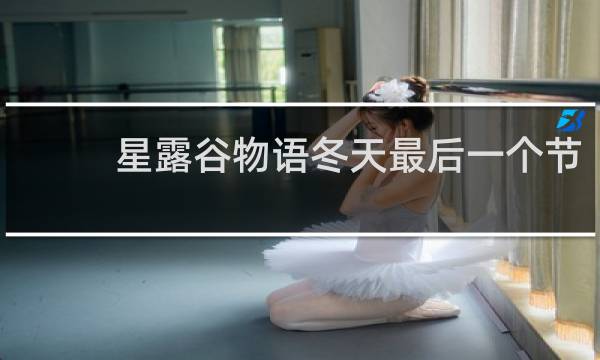 星露谷物语冬天最后一个节